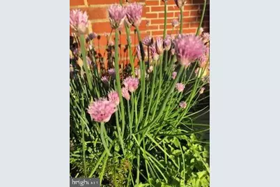 119 Foxglove Drive, Winchester, VA 22602 - Photo 67