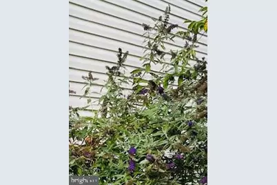 119 Foxglove Drive, Winchester, VA 22602 - Photo 69