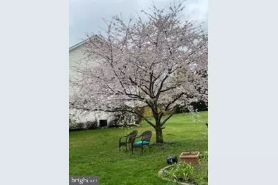 119 Foxglove Drive, Winchester, VA 22602 - Photo 75