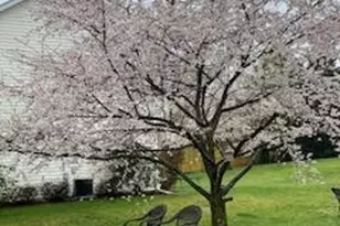 119 Foxglove Dr, Winchester, VA 22602 - Photo 75