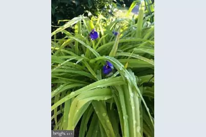 119 Foxglove Drive, Winchester, VA 22602 - Photo 73