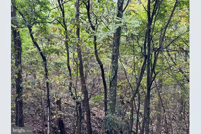 Lot 7 Oak Drive, Winchester, VA 22603 - Photo 1