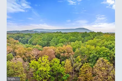 Lot 24L & 24M Bloomery Pike, Cross Junction, VA 22625 - Photo 19