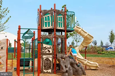 114 Galaxy Place, Stephenson, VA 22656 - Photo 47