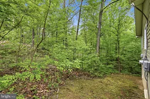 212 Beaver Trail, Winchester, VA 22602 - Photo 53