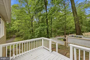 212 Beaver Trail, Winchester, VA 22602 - Photo 47