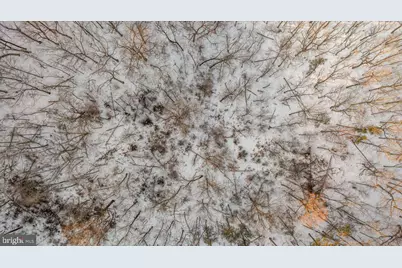 1501 S Timber Ridge Road, Cross Junction, VA 22625 - Photo 55