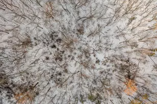 1501 S Timber Ridge Rd, Cross Junction, VA 22625 - Photo 55