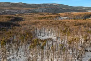 1501 S Timber Ridge Rd, Cross Junction, VA 22625 - Photo 61