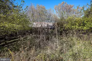 751 - 761 Old Charles Town Rd, Stephenson, VA 22656 - Photo 41