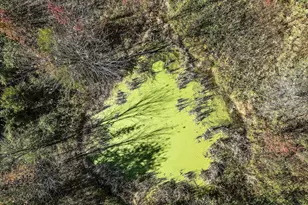 751 - 761 Old Charles Town Rd, Stephenson, VA 22656 - Photo 51