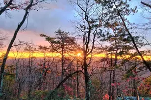 115 Dogwood Trail, Winchester, VA 22602 - Photo 5