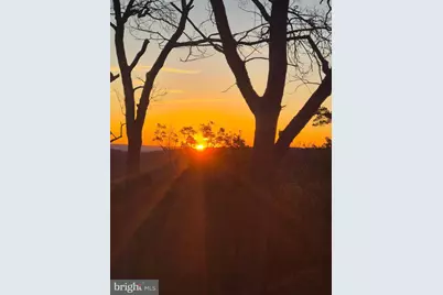 115 Dogwood Trail, Winchester, VA 22602 - Photo 21