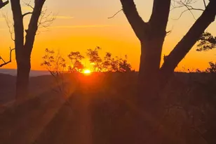 115 Dogwood Trail, Winchester, VA 22602 - Photo 21