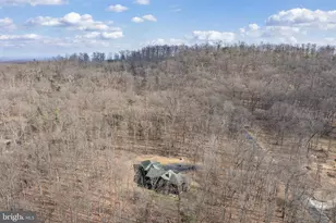 181 Signal Ridge Ln, Winchester, VA 22603 - Photo 61