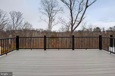 153 Leather Flower Drive, Lake Frederick, VA 22630 - Photo 11