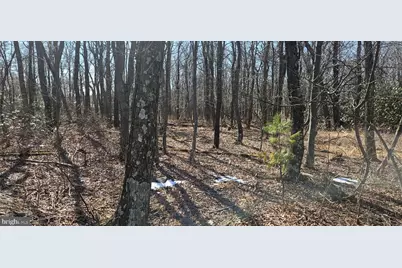 Lot 92 Antelope Trail, Winchester, VA 22602 - Photo 5
