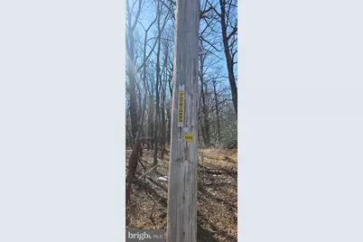 Lot 92 Antelope Trail, Winchester, VA 22602 - Photo 9