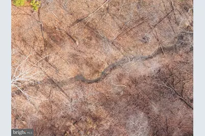 Lot 136 Senseny Road, Winchester, VA 22602 - Photo 5