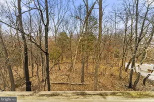 110 Ware Pl, Winchester, VA 22602 - Photo 35