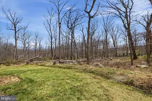 145 Graywolf Trail, Winchester, VA 22602 - Photo 43