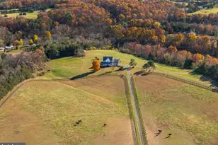 1681 Airport Rd, Winchester, VA 22602 - Photo 37