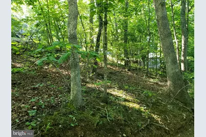 0 Lakeview, Cross Junction, VA 22625 - Photo 7