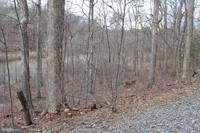 0 Lakeview, Cross Junction, VA 22625 - Photo 45