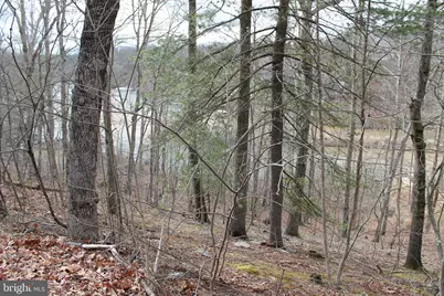 0 Lakeview, Cross Junction, VA 22625 - Photo 47