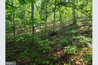 0 Lakeview, Cross Junction, VA 22625 - Photo 11