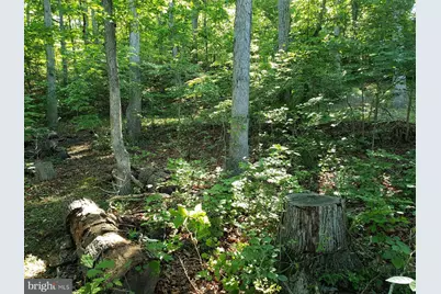 0 Lakeview, Cross Junction, VA 22625 - Photo 3