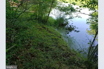 0 Lakeview, Cross Junction, VA 22625 - Photo 5