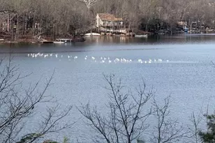 Southwood Dr-Lake Front, Cross Junction, VA 22625 - Photo 1