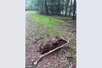 Southwood Dr-Lake Front, Cross Junction, VA 22625 - Photo 15