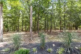 805 S Lakeview Dr, Cross Junction, VA 22625 - Photo 49