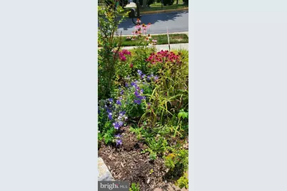 153 Harvest Ridge Drive, Winchester, VA 22601 - Photo 5
