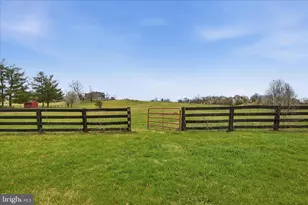 171 Laurel Grove Rd, Winchester, VA 22602 - Photo 49