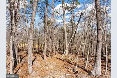 Lot 18 - Loop Court, Cross Junction, VA 22625 - Photo 7