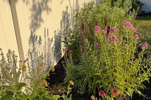 124 Nathan Dr, Stephens City, VA 22655 - Photo 37