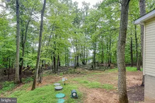 303 Fox, Winchester, VA 22601 - Photo 25