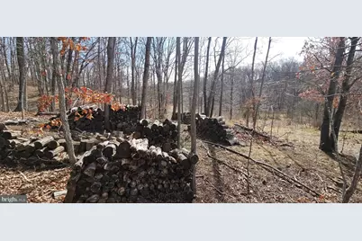 1079 Gun Club Road, Stephenson, VA 22656 - Photo 25