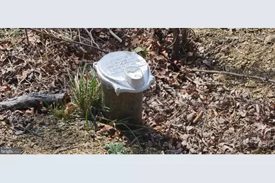 1079 Gun Club Road, Stephenson, VA 22656 - Photo 13