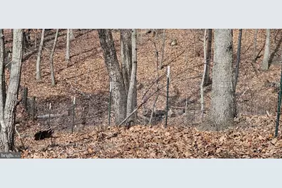 1079 Gun Club Road, Stephenson, VA 22656 - Photo 17