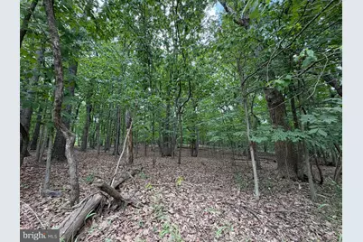 Logger Drive #LOT 82, Gore, VA 22637 - Photo 1