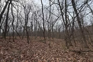 Logger Dr, Gore, VA 22637 - Photo 1