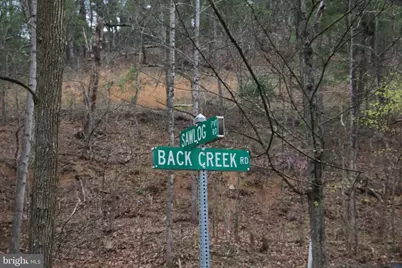 680 Sawlog Road, Gore, VA 22637 - Photo 43