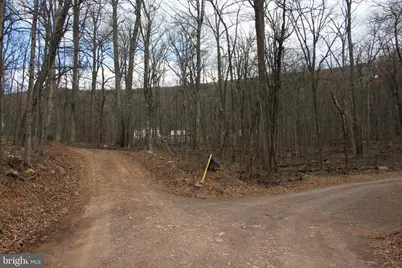 680 Sawlog Road, Gore, VA 22637 - Photo 41