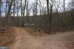 680 Sawlog Rd, Gore, VA 22637 - Photo 41