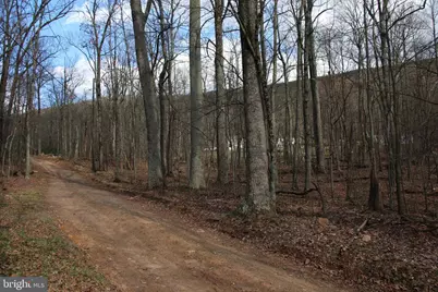 680 Sawlog Road, Gore, VA 22637 - Photo 39