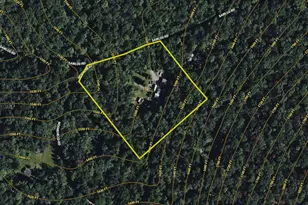 680 Sawlog Rd, Gore, VA 22637 - Photo 47